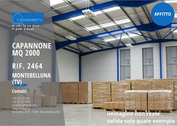 Capannone 2000 mq Montebelluna (TV) Rif. 2464  -