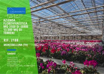 Azienda Florovivaistica Montebeluna (TV) Rif. 2188